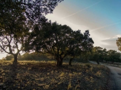 Sierra de la Mosca