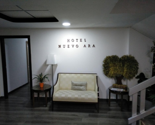 HOTEL NUEVO ARA