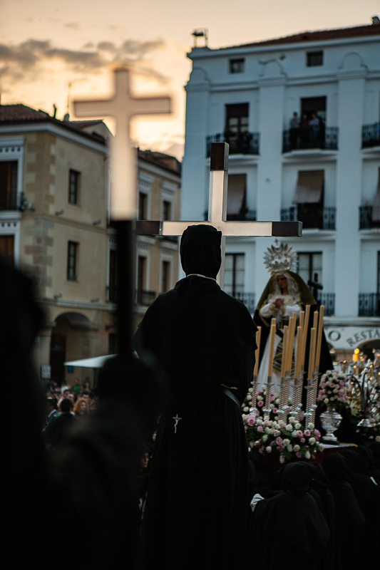 Buen fin 16