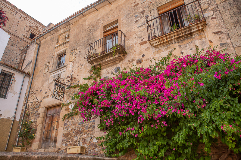 Casa de los Durán de la Rocha 1