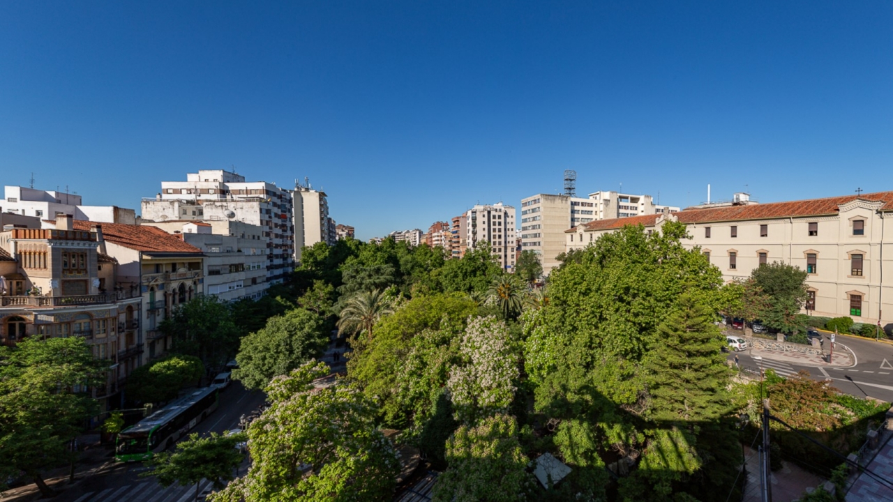 ZONA COMERCIAL CÁNOVAS