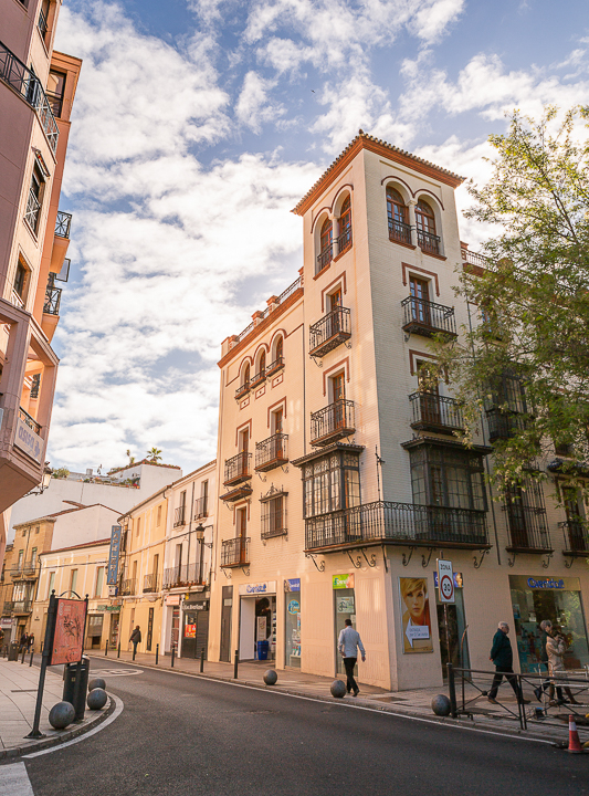 El Palacete de San Antón 1