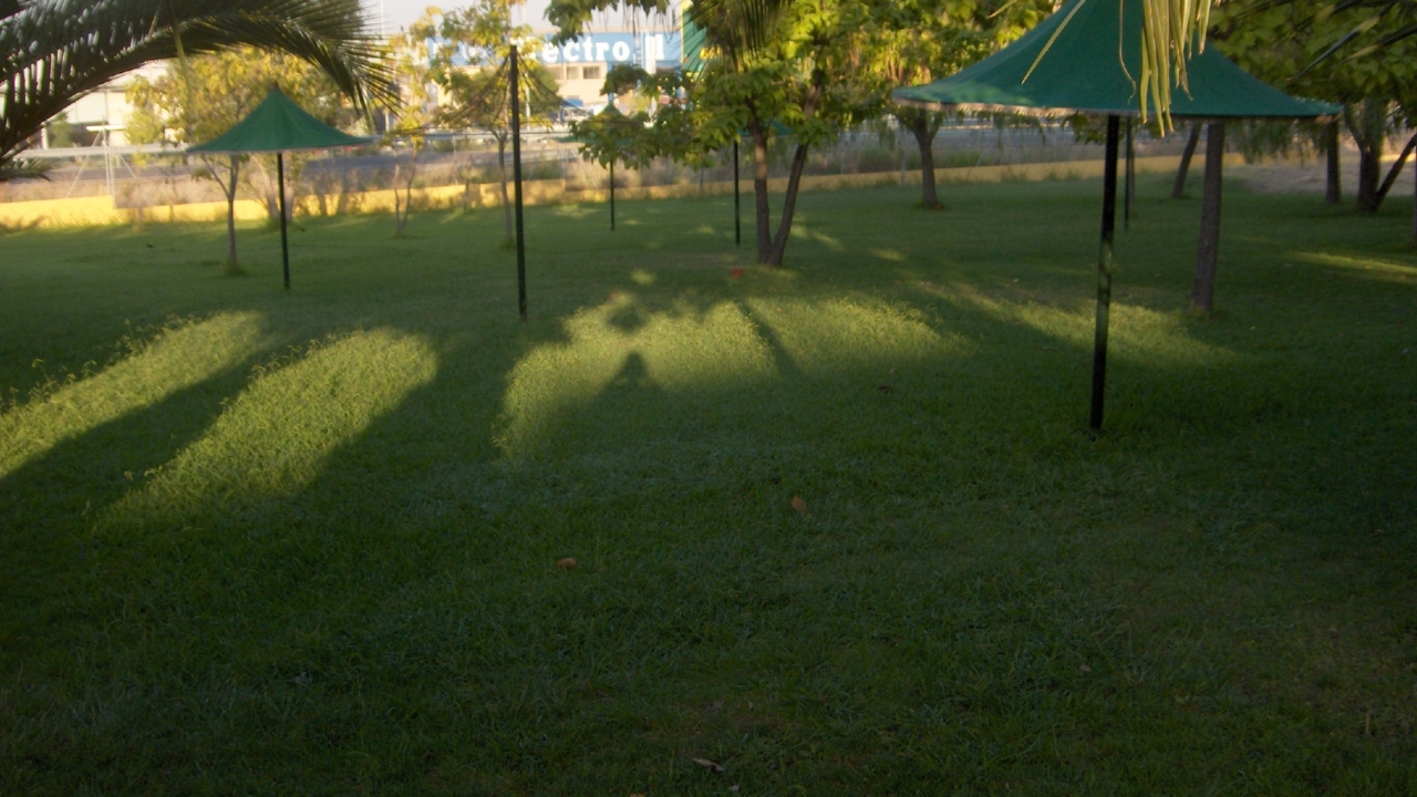 Imagen predeterminada