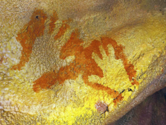 Centro de Interpretación “Cueva de Maltravieso”