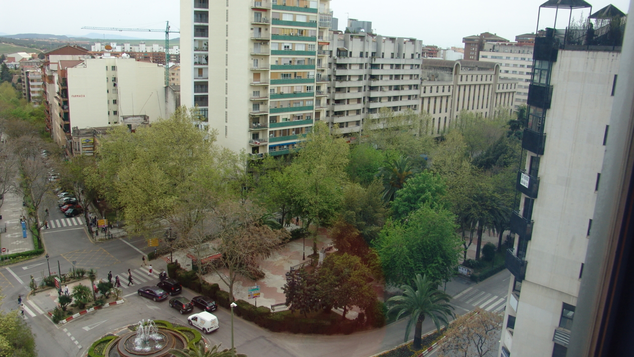 ZONA COMERCIAL CÁNOVAS