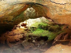 Cueva del Conejar