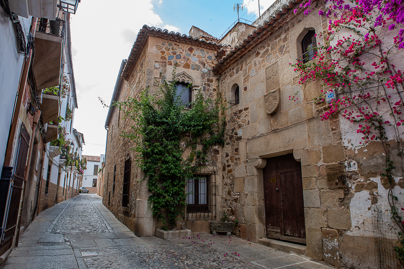 HOSPITAL DE LOS CABALLEROS