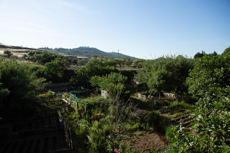 Mirador de Fuente Fría 1