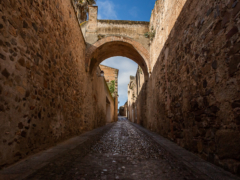 Muralla