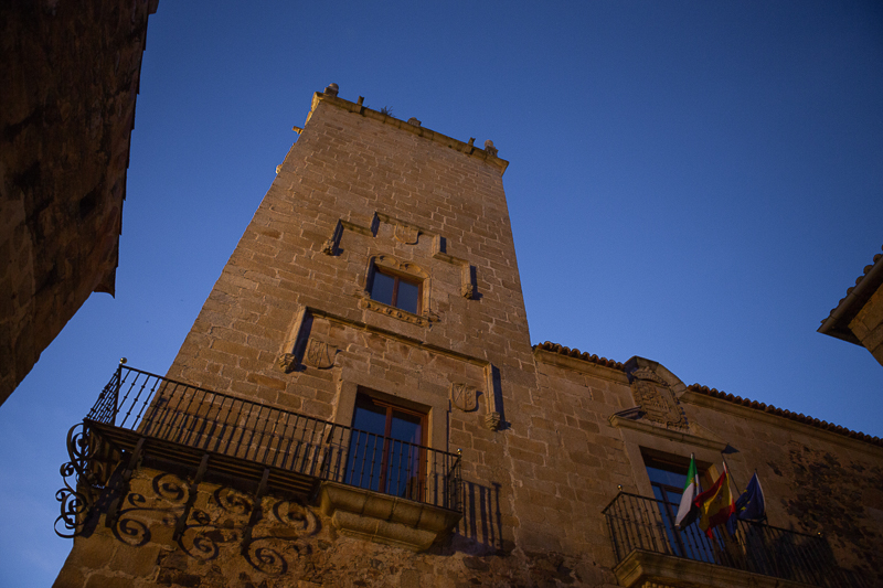 Palacio de los Marqueses de Torreorgaz 1