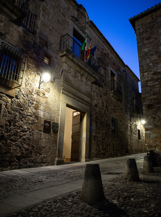 Palacio de los Marqueses de Torreorgaz 2