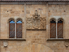 Palacio de Mayoralgo