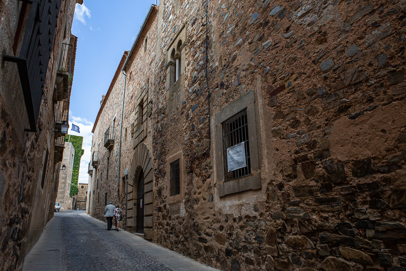 Palacio de Paredes de Saavedra 4