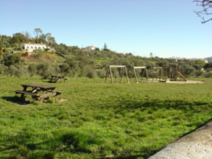 Olivar Chico de los Frailes