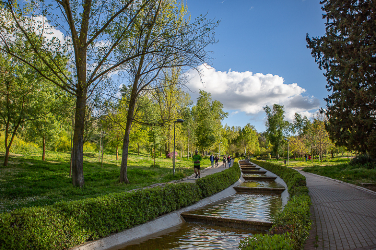PARQUE DEL PRÍNCIPE 4