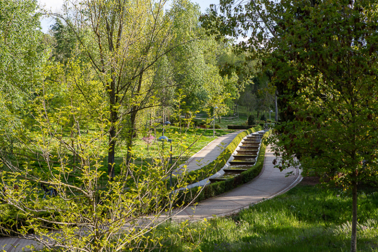 PARQUE DEL PRÍNCIPE 5