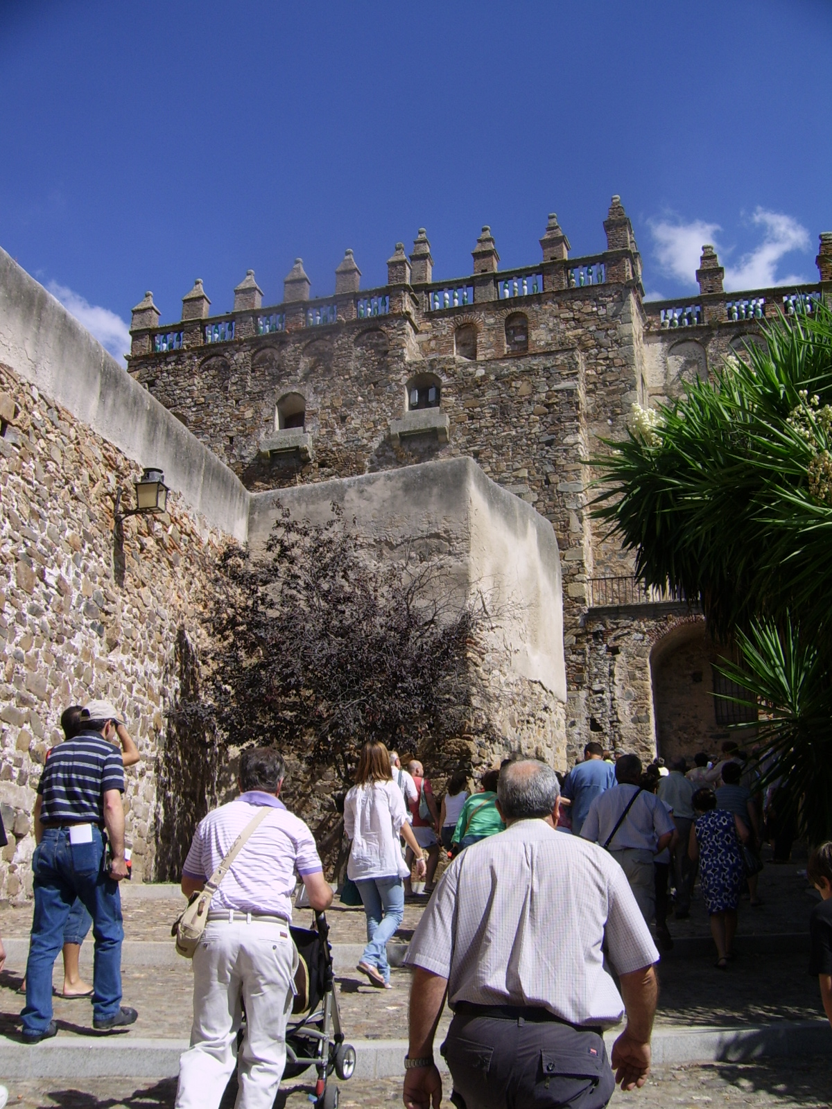 PALOMA PLATA DE PABLO