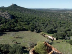 Zepa Sierra de San Pedro