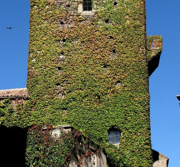 TORRE DE SANDE