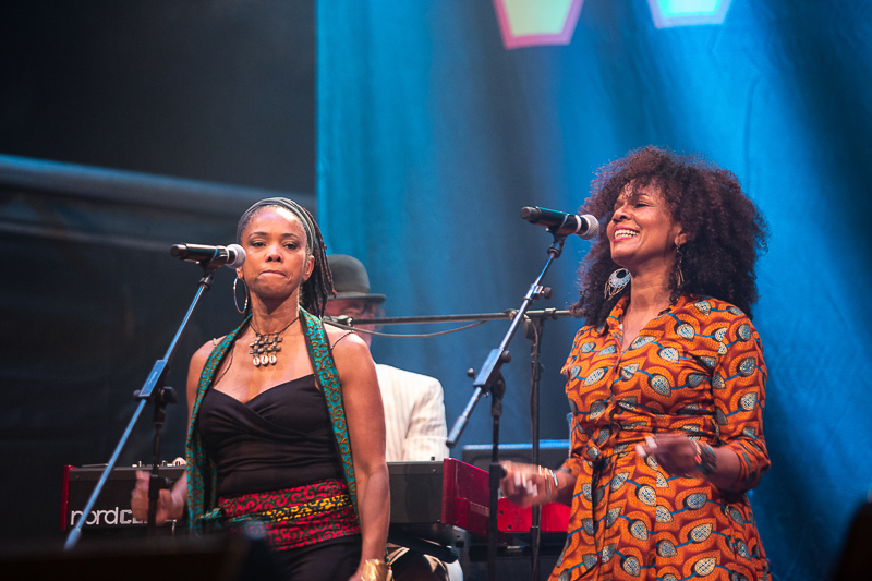 WOMAD 15