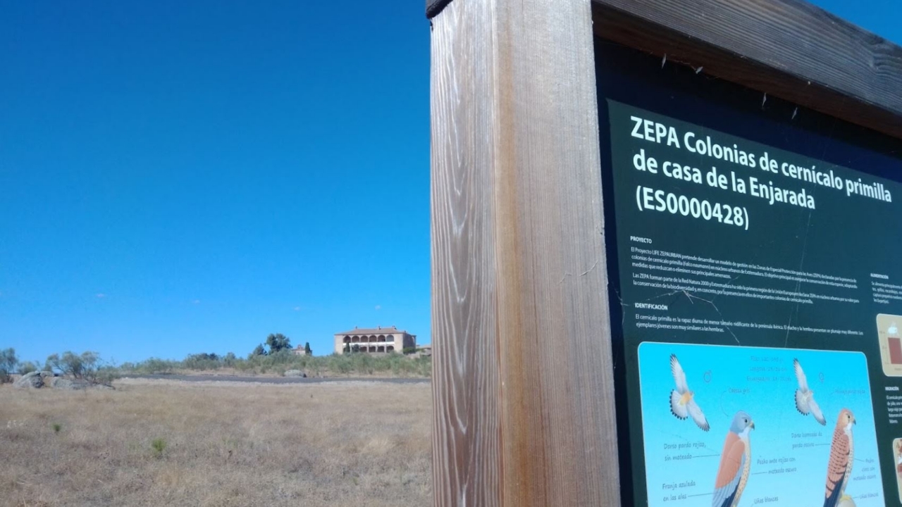 Zepa CASA DE LA ENJARADA