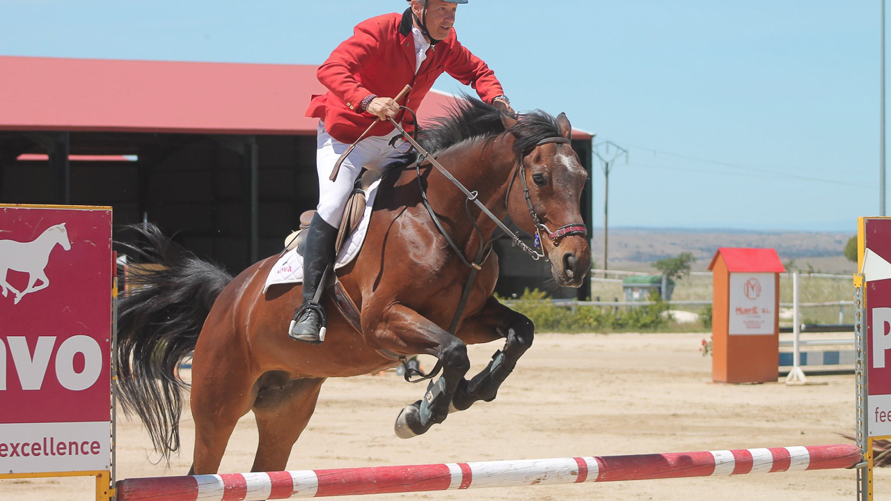 CONCURSO DE SALTOS NACIONAL DE CÁCERES