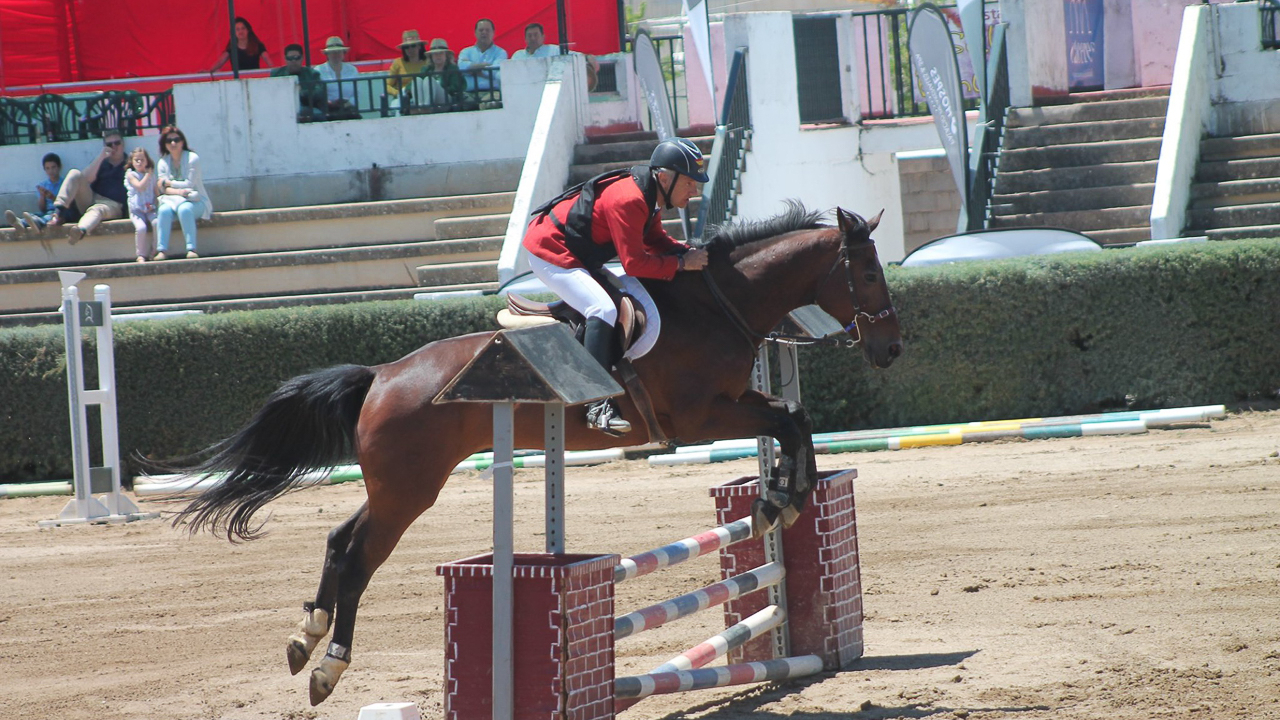 CONCURSO DE SALTOS NACIONAL DE CÁCERES