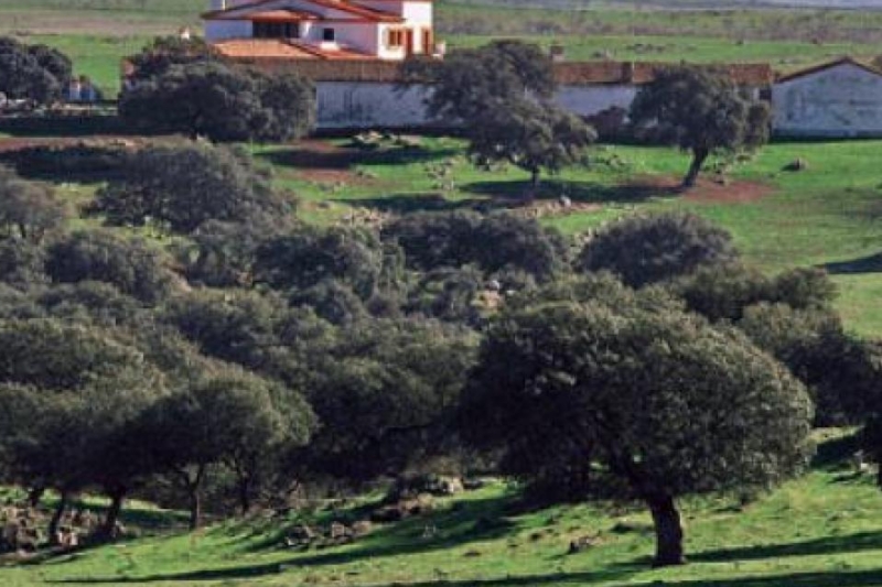 ZEPA LLANOS DE CÁCERES Y SIERRA DE FUENTES