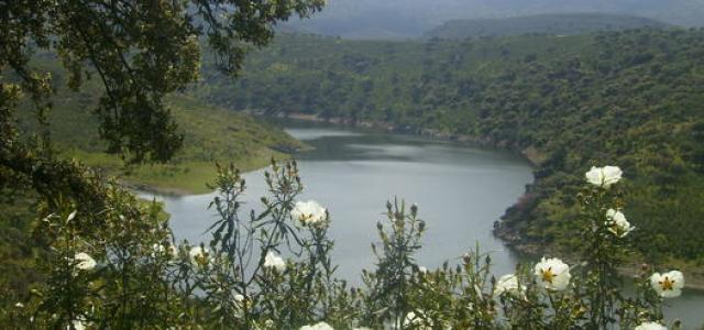 RUTA DEL PARQUE NACIONAL DE MONFRAGÜE
