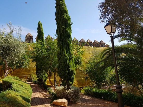 OLIVAR DE LA JUDERÍA