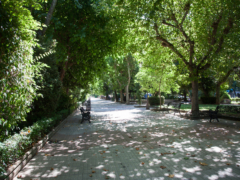 Paseo de Cánovas y Parque Gloria Fuertes