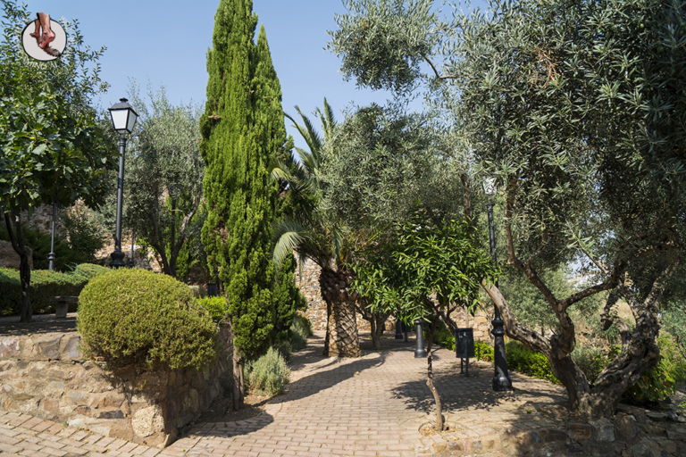 Olivar de la Judería