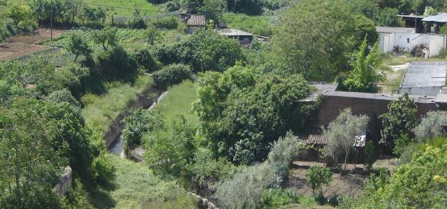 RUTA POR EL ARROYO DEL CONCEJO Y CÁCERES EL VIEJO