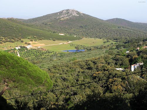 SIERRA DE LA MOSCA